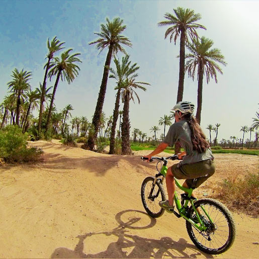 Two-wheeled excursion in the Palm grove
