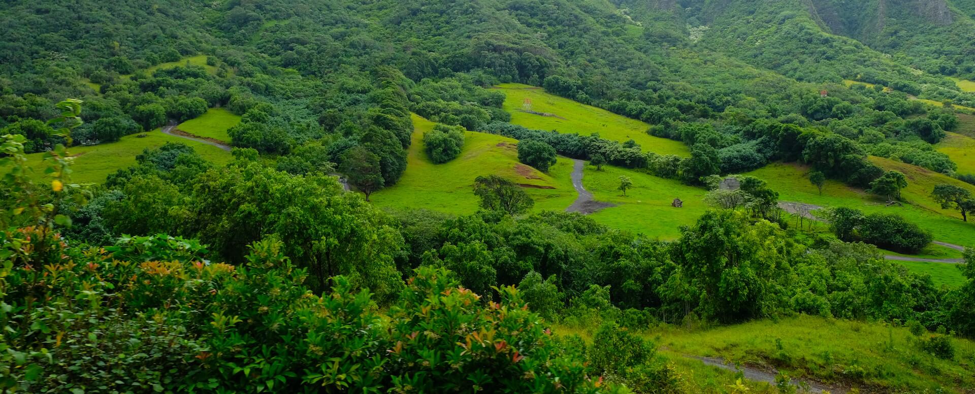 Rent_a_villa_in_the_countryside