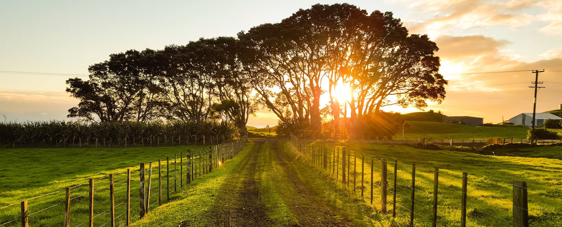 Rent_a_villa_in_the_countryside_Stunning_outdoor_spaces_of_our_villas_in_the_countryside