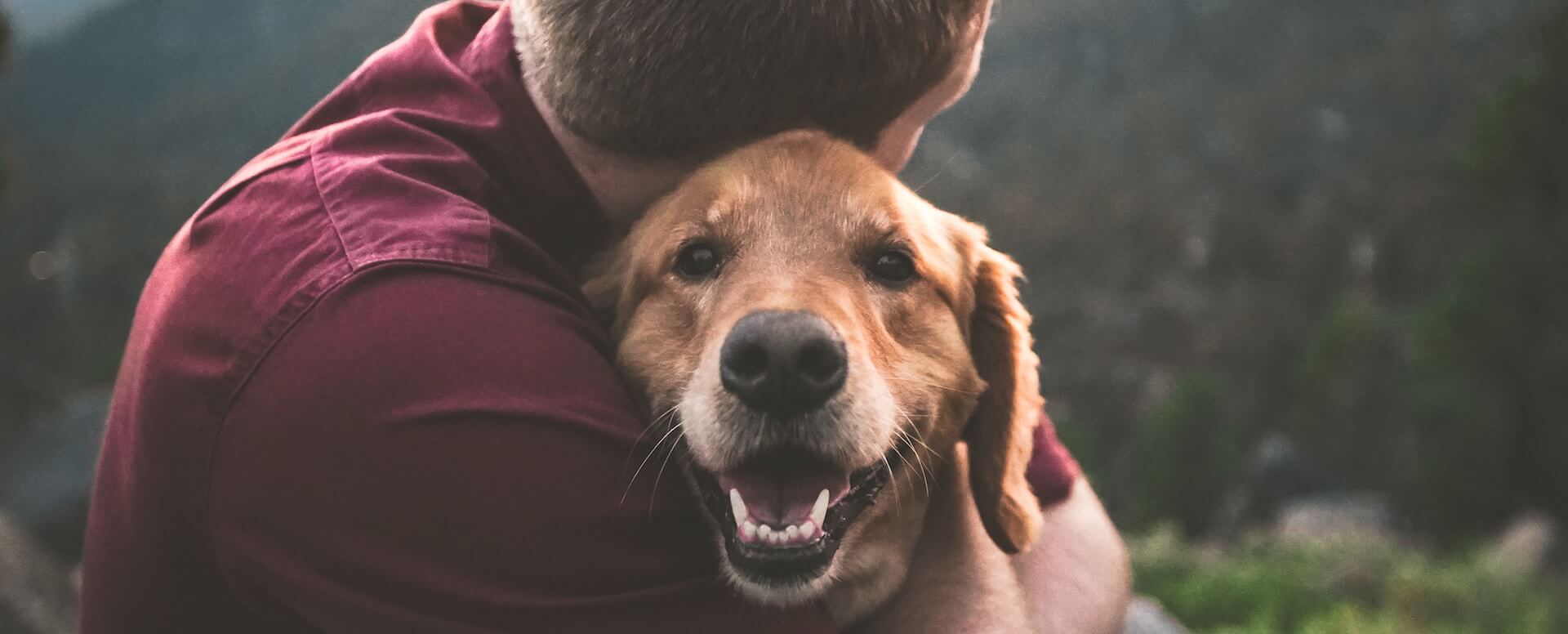 Rent_a_pet-friendly_villa_Pet-friendly_spaces