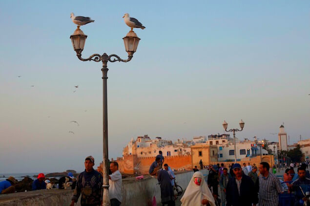 10 things to do Essaouira