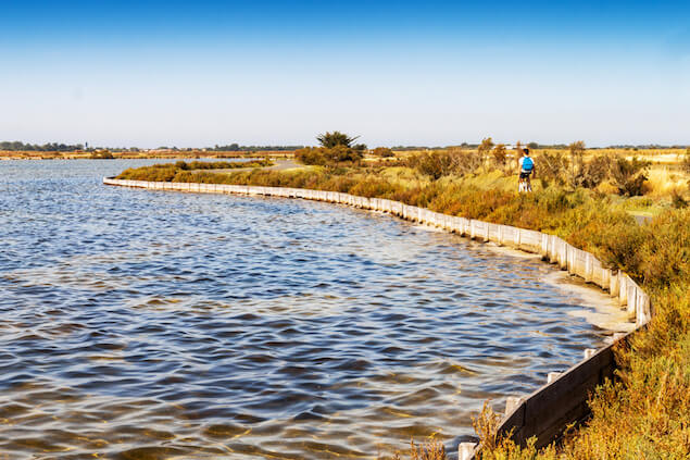 Natural spaces Île de Ré