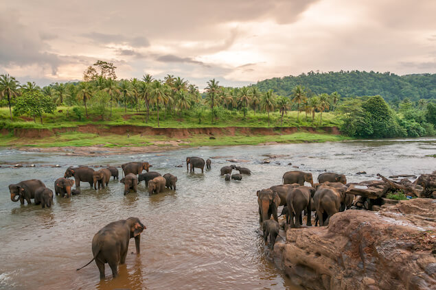 Not to be missed Sri Lanka