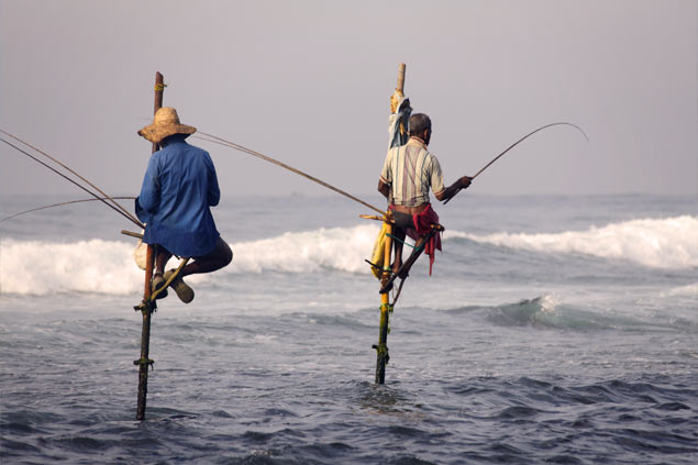 10 things to do Sri Lanka