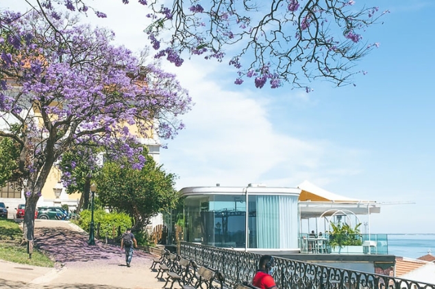 Practical guide Northern Portugal