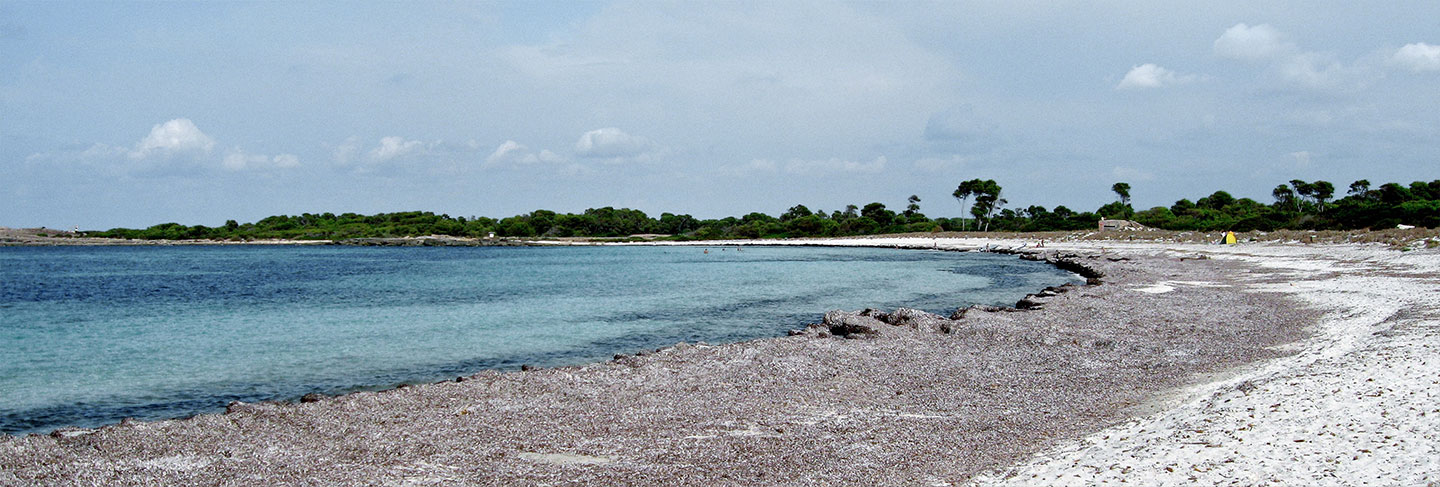 The most beautiful beaches of the Balearic Islands - Ibiza