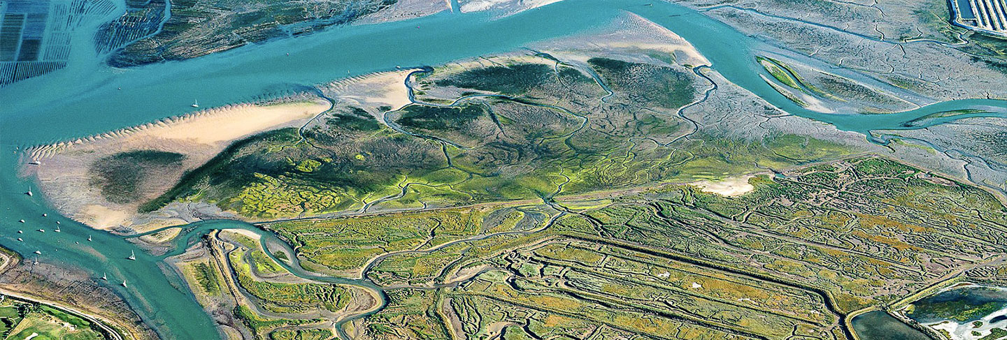 Not to Be Missed When on The Ile de Ré - Île de Ré