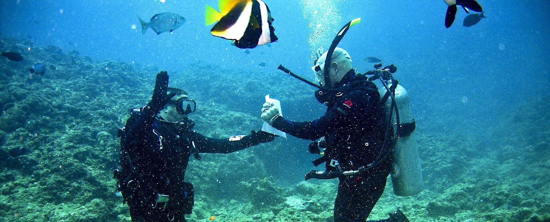Scuba Diving - Mauritius