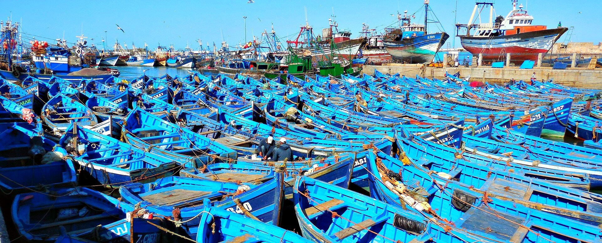 4. Explore the Fishing Market & Port - Essaouira