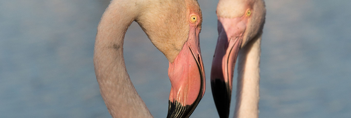 The must-sees of the Balearic Islands - Ibiza