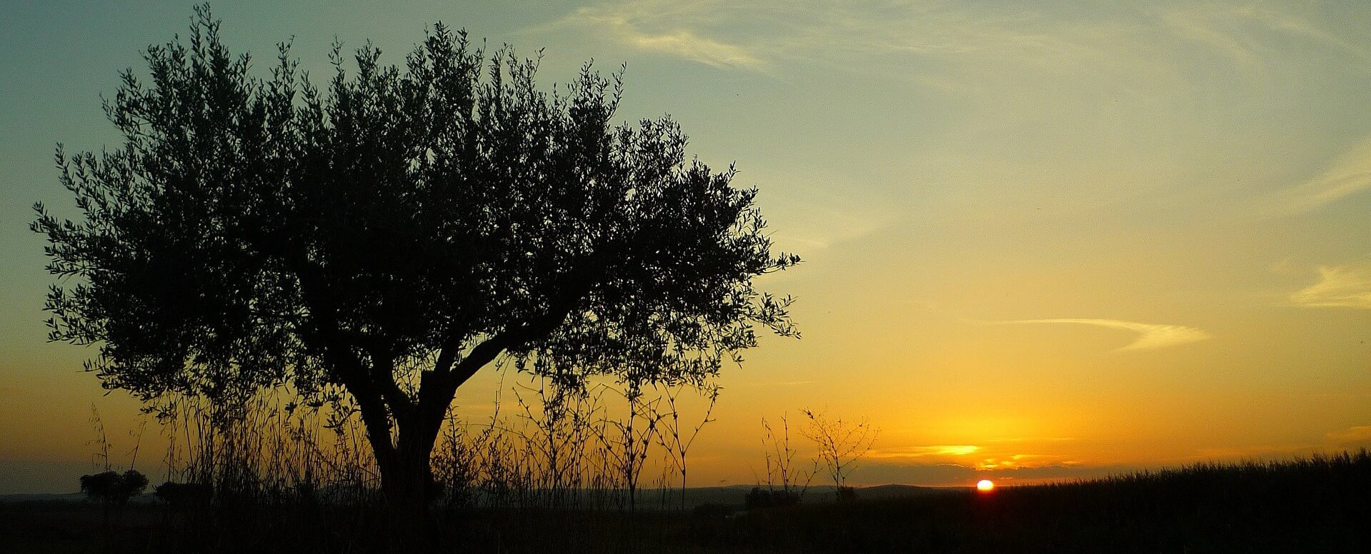 Weather and climate in Comporta - Comporta