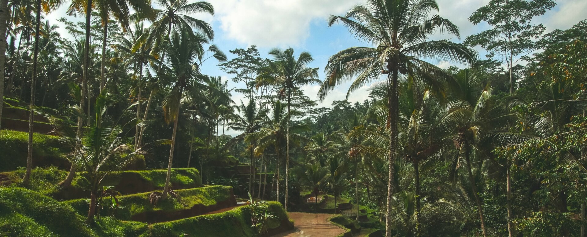 10 things to do in Bali - Bali