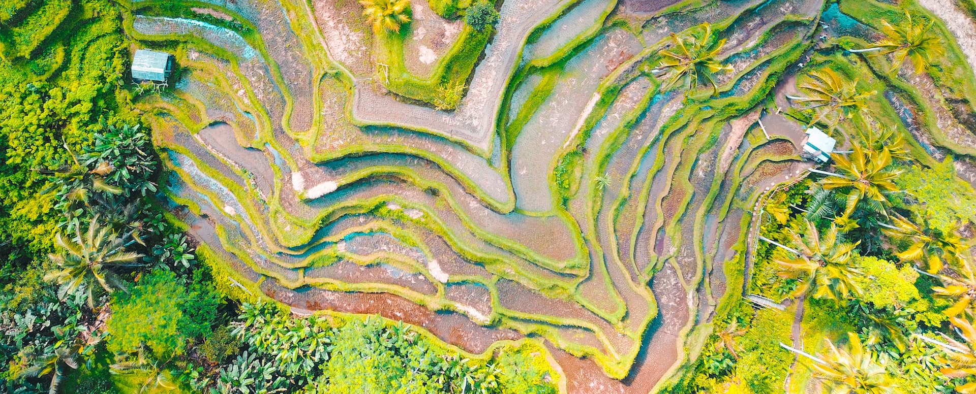 8- Escape to the rice fields - Bali