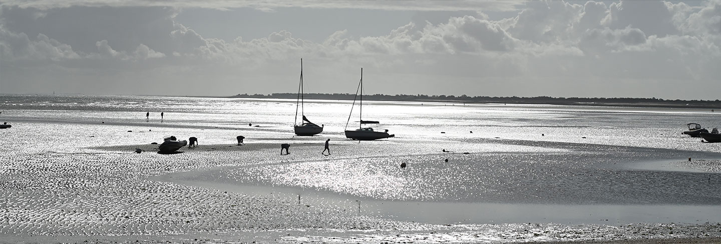 Discover the most beautiful beaches on the Île de Ré - Île de Ré