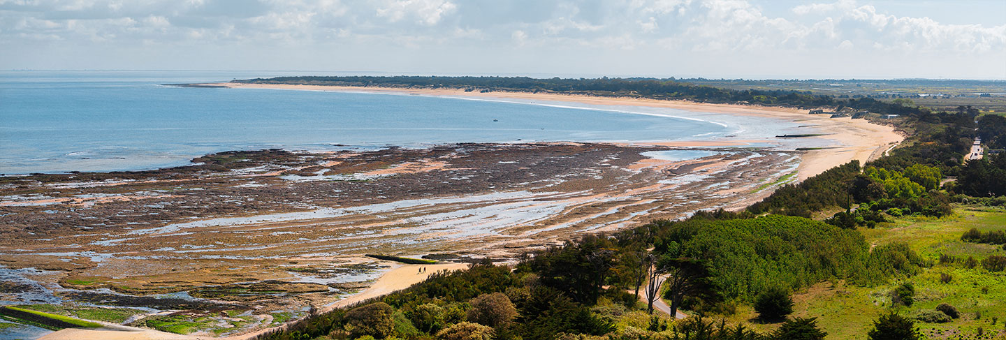 Discover the most beautiful beaches on the Île de Ré - Île de Ré