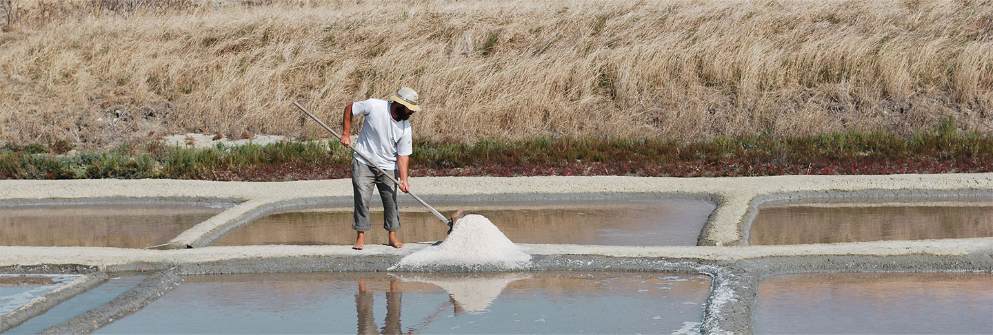 The Gastronomy of the Île de Ré - Île de Ré