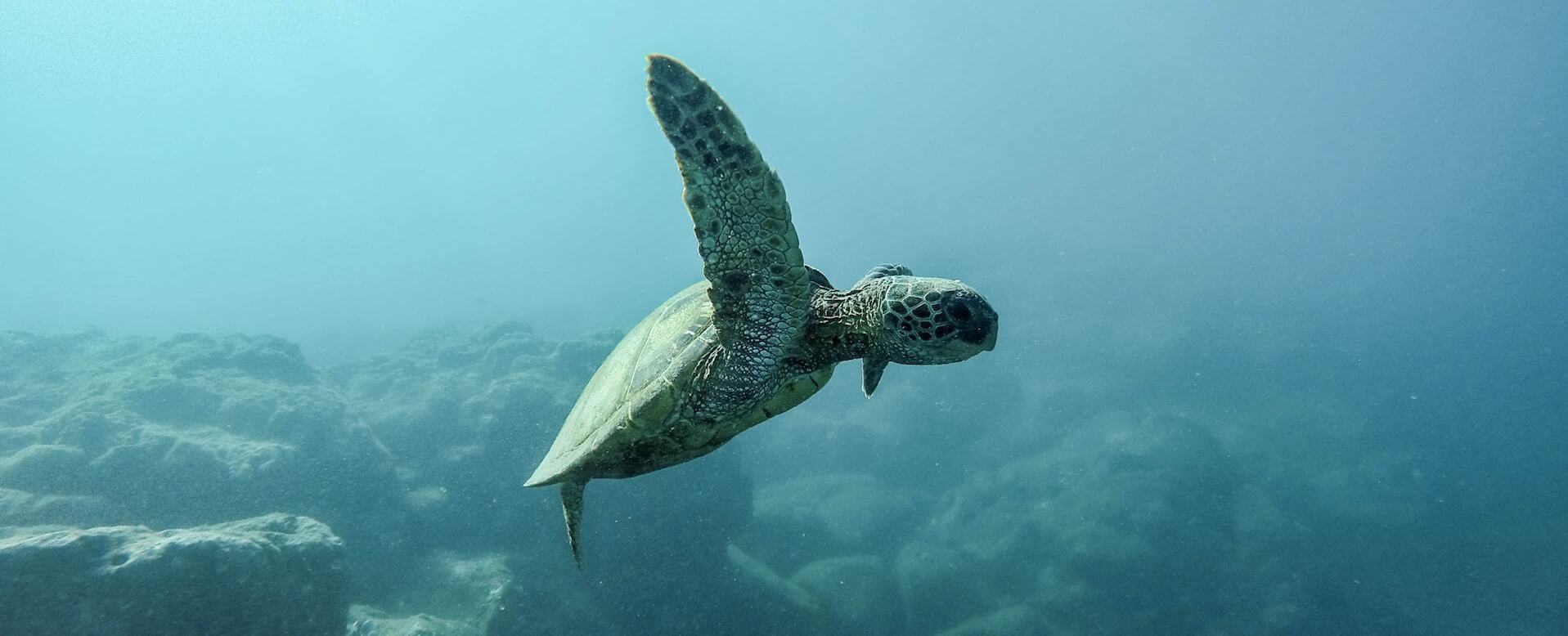 Tangalle - Sri Lanka