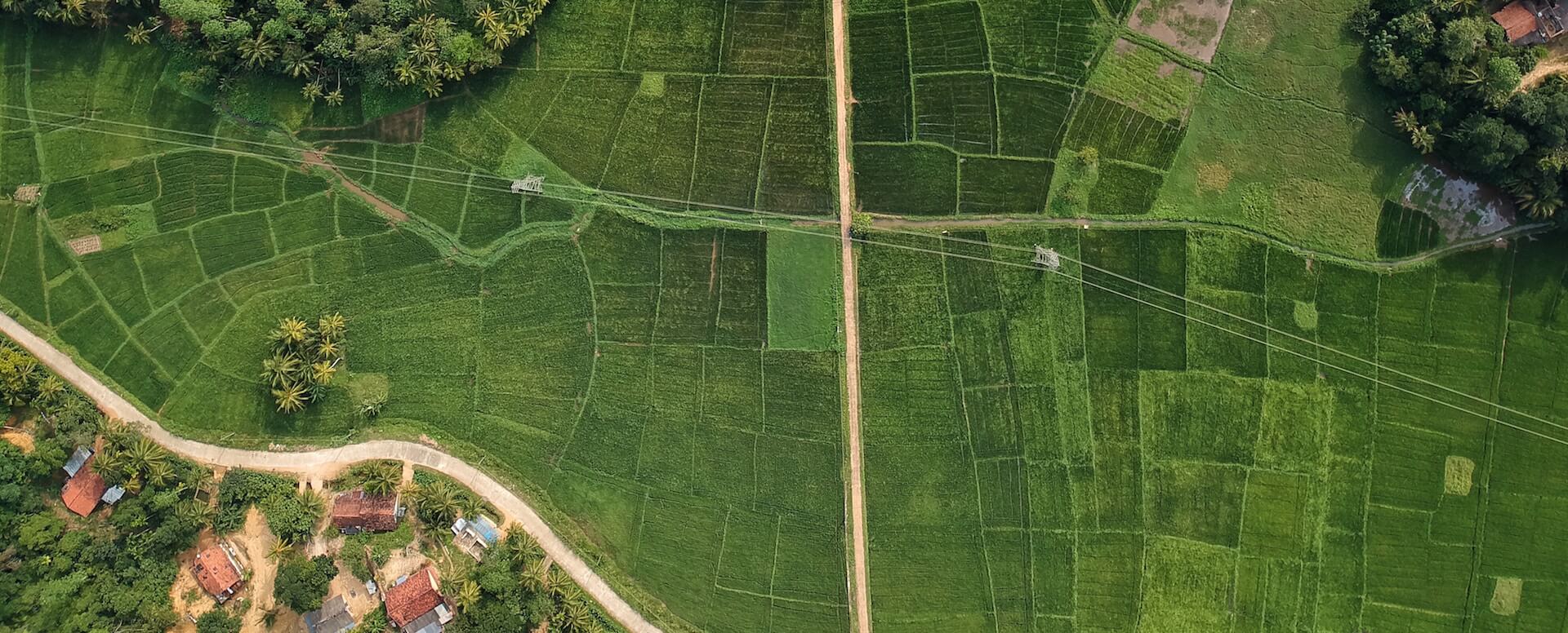 Discover Sri Lanka's landmarks - Sri Lanka