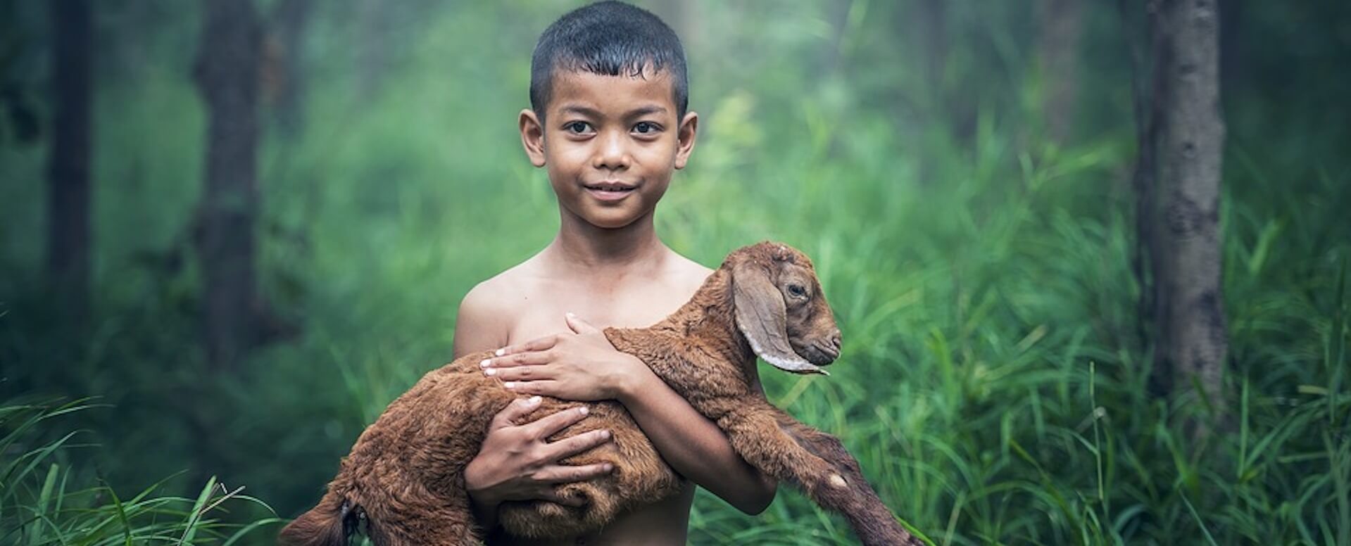 Did you know Indonesia? - Indonesia