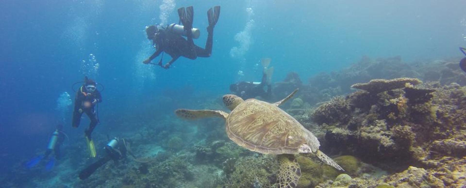 Indulge in water sports - Indonesia