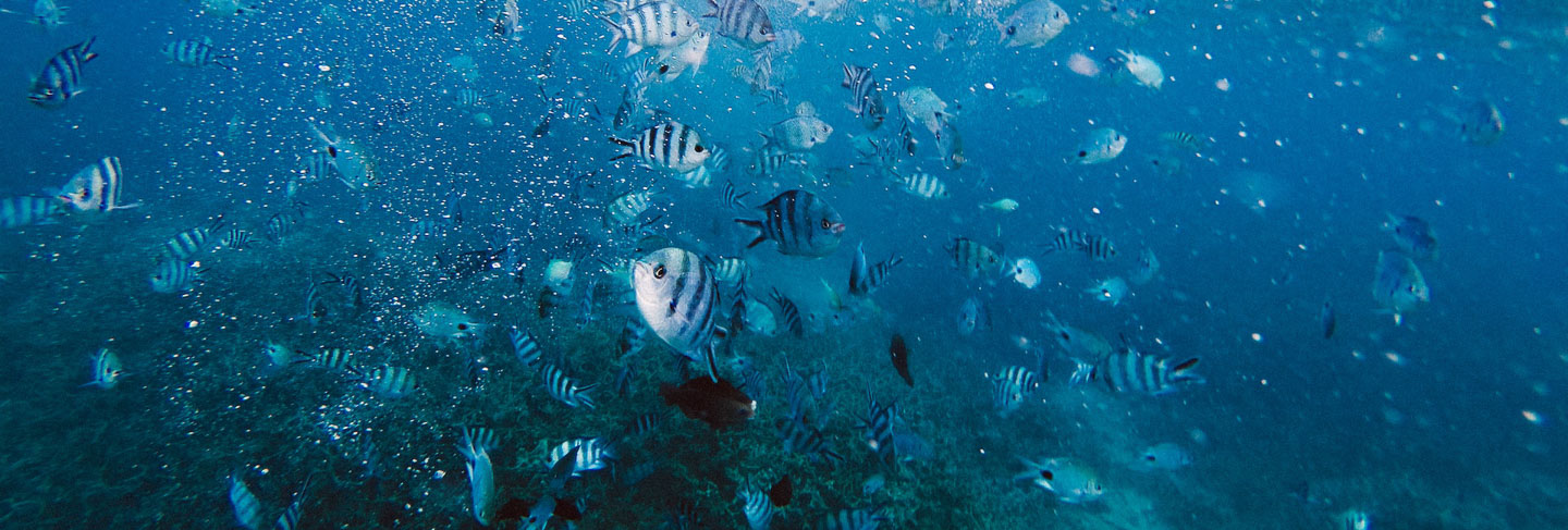 Regions of Mauritius - Mauritius