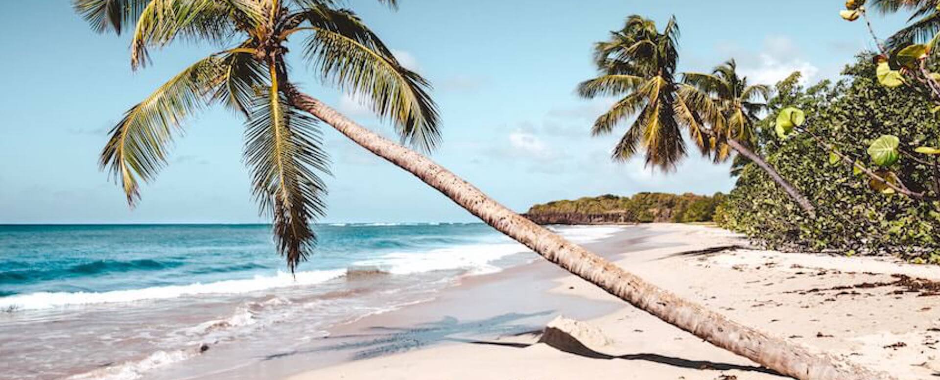 Anse des Salines - Martinique