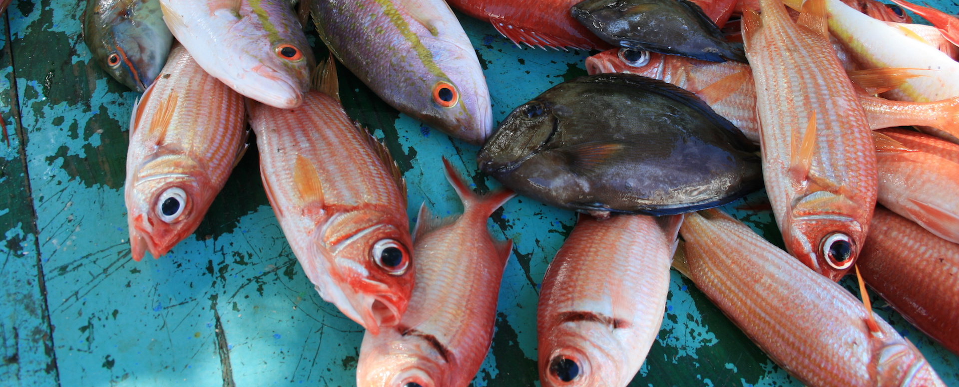 Some traditional dishes - Martinique
