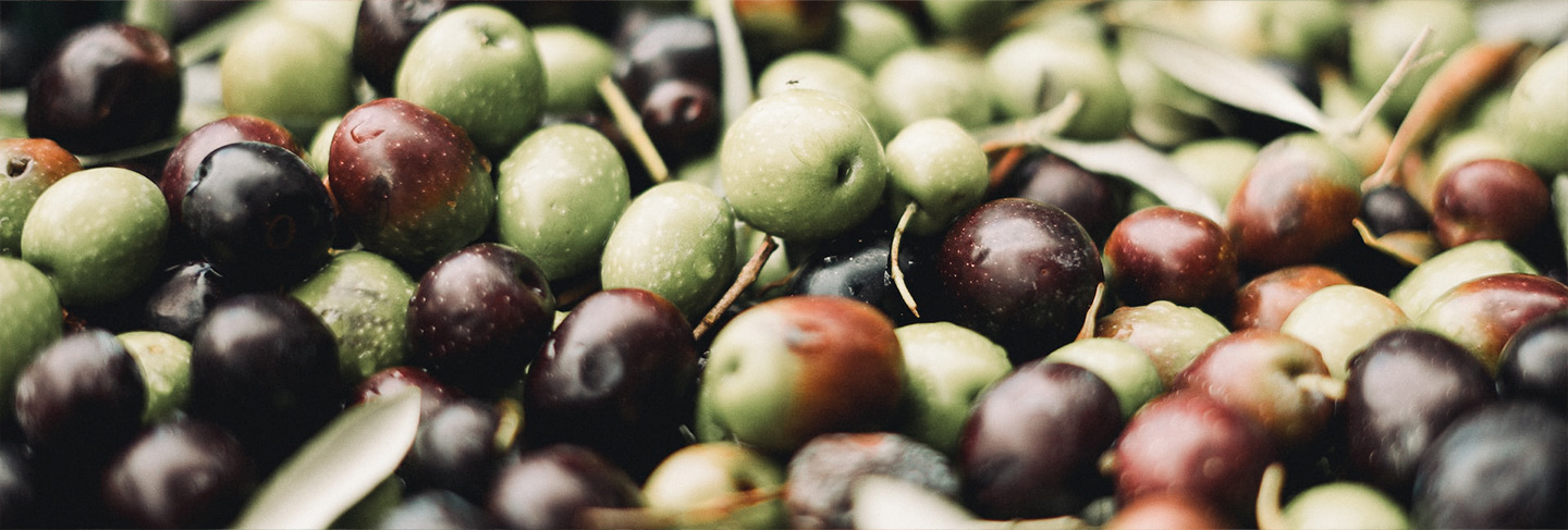 A Guide to Greek Cuisine - Greece