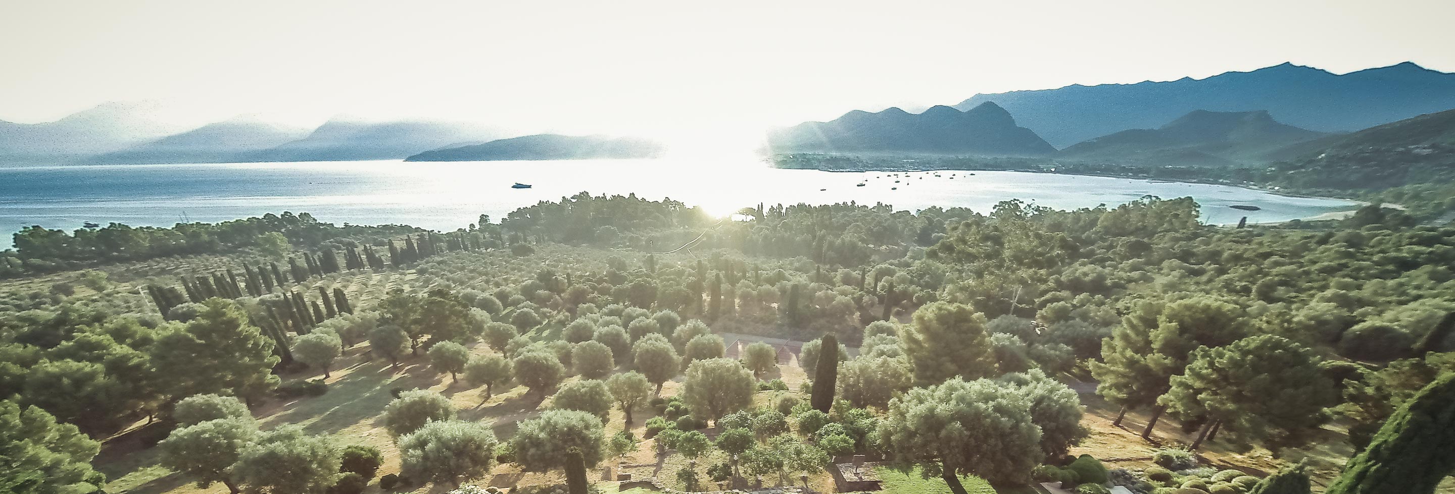 A Practical Guide to Corsica - Corsica