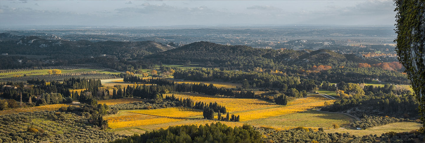 A Practical Guide to the South of France - Provence