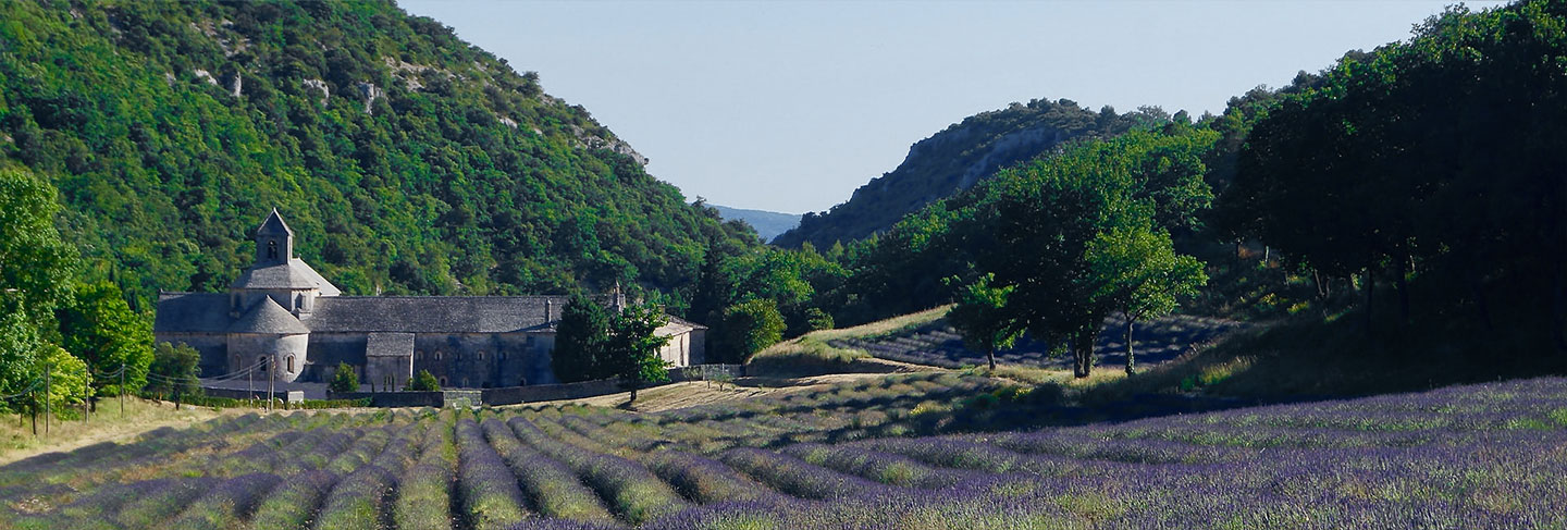 A Practical Guide to the South of France - Provence