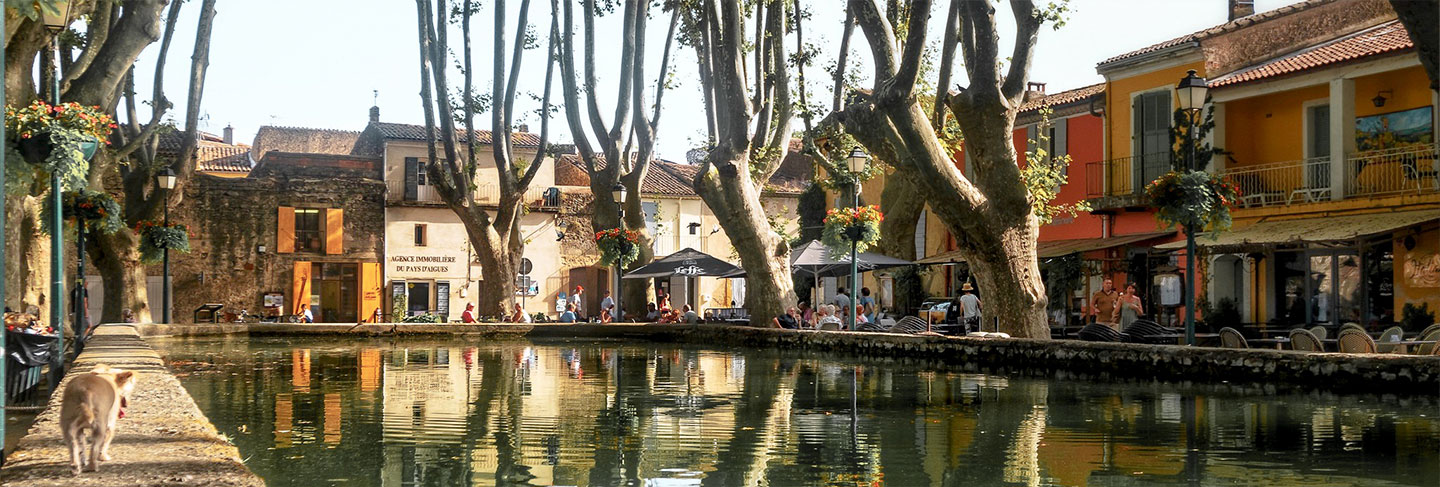 The Regions of the South of France - Provence