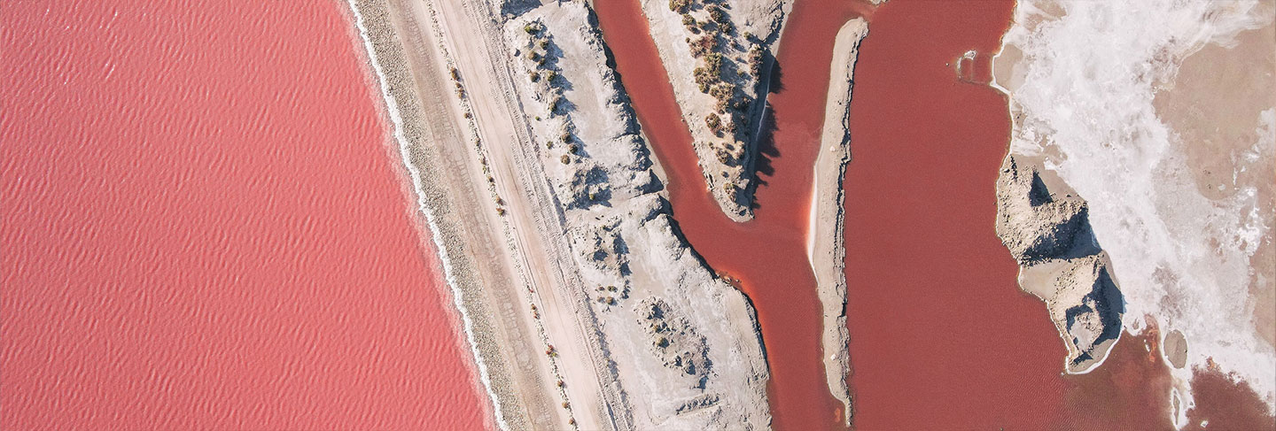 The Cuisine of the South of France - Provence