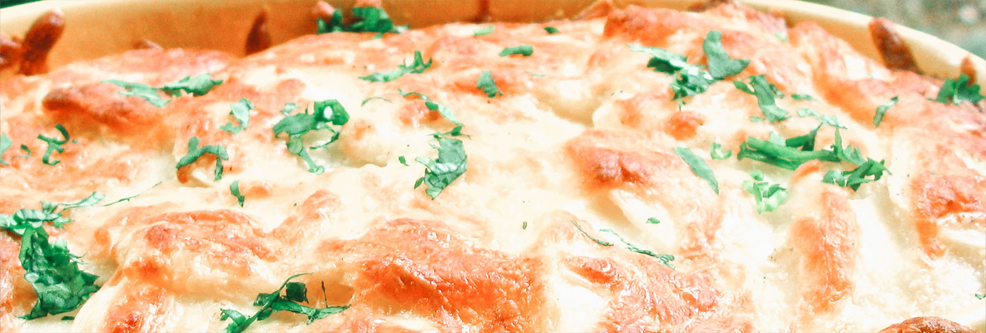 The Cuisine of the Northern Alps - Northern Alps