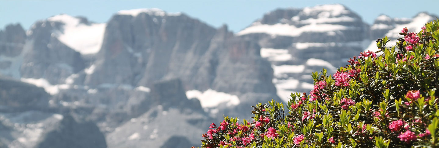 A Practical Guide to Italy's Lake District - Lakes