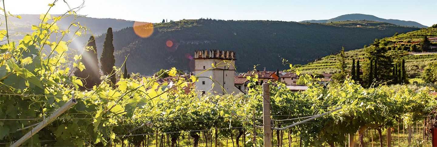 A Guide to the Best Activities and Excursions in the Italian Lake District - Lakes