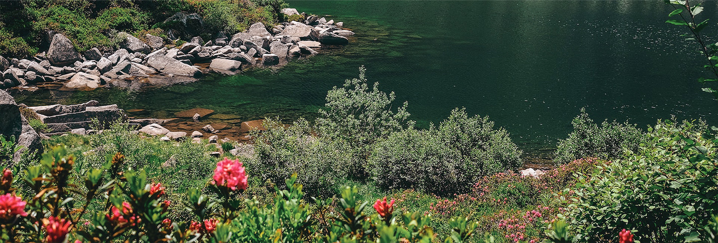 A Practical Guide to Italy - Italy