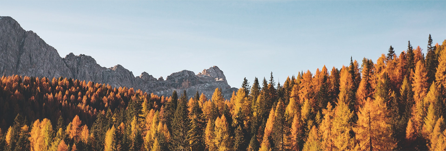 A Practical Guide to Italy - Italy