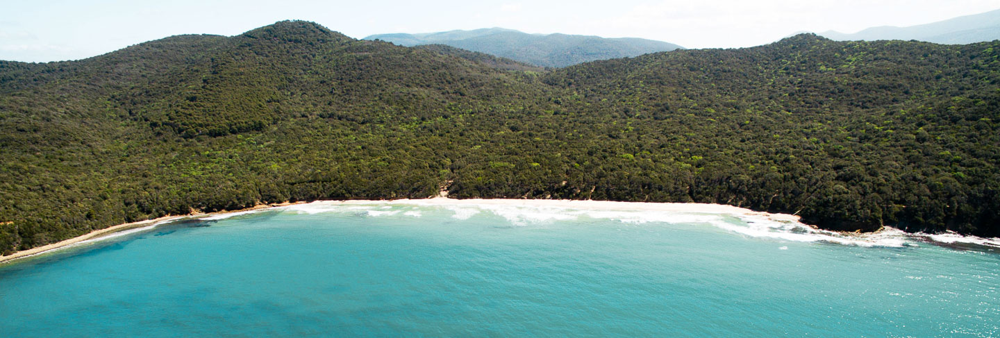 The Most Beautiful Beaches of Tuscany - Tuscany