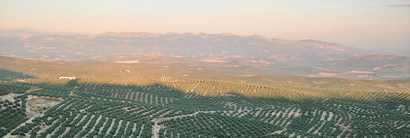 The Culture and Traditions of Spain - Spain