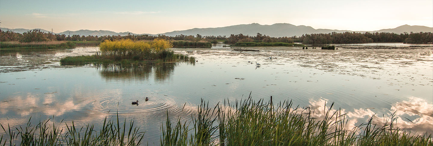 The Highlights of the Costa Brava - Costa Brava