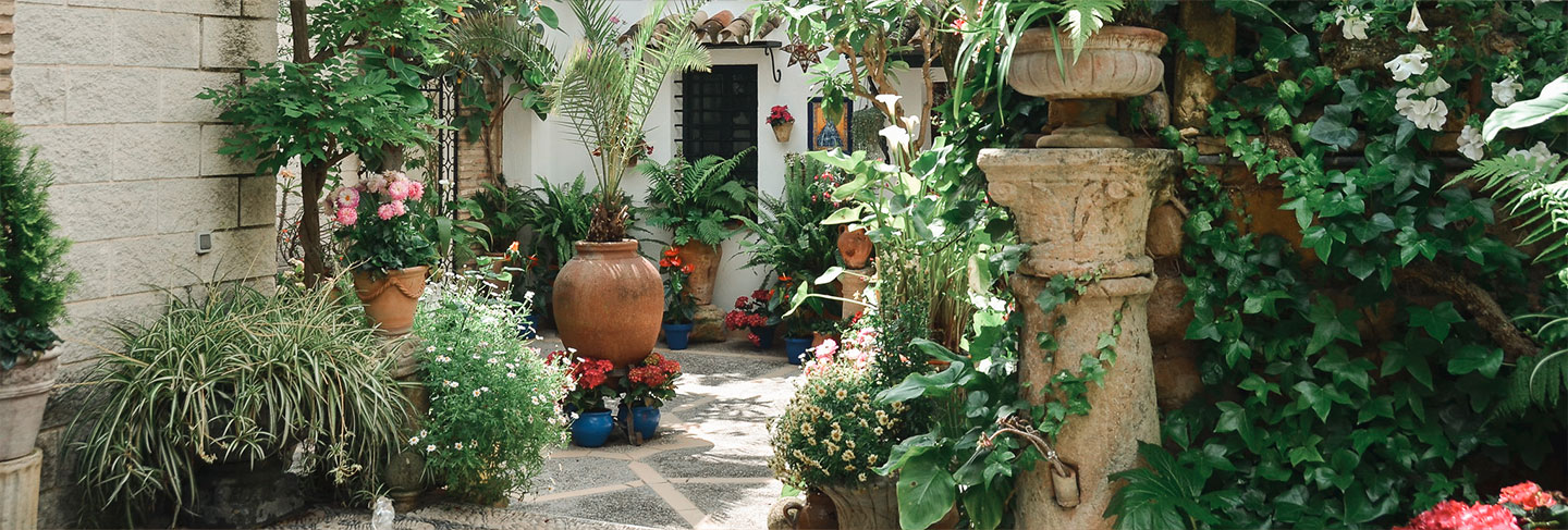 The Culture, History and Traditions of Andalusia - Andalusia