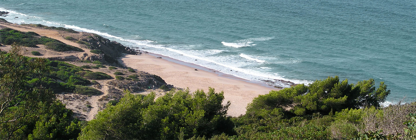 The Best Beaches in Andalusia - Andalusia