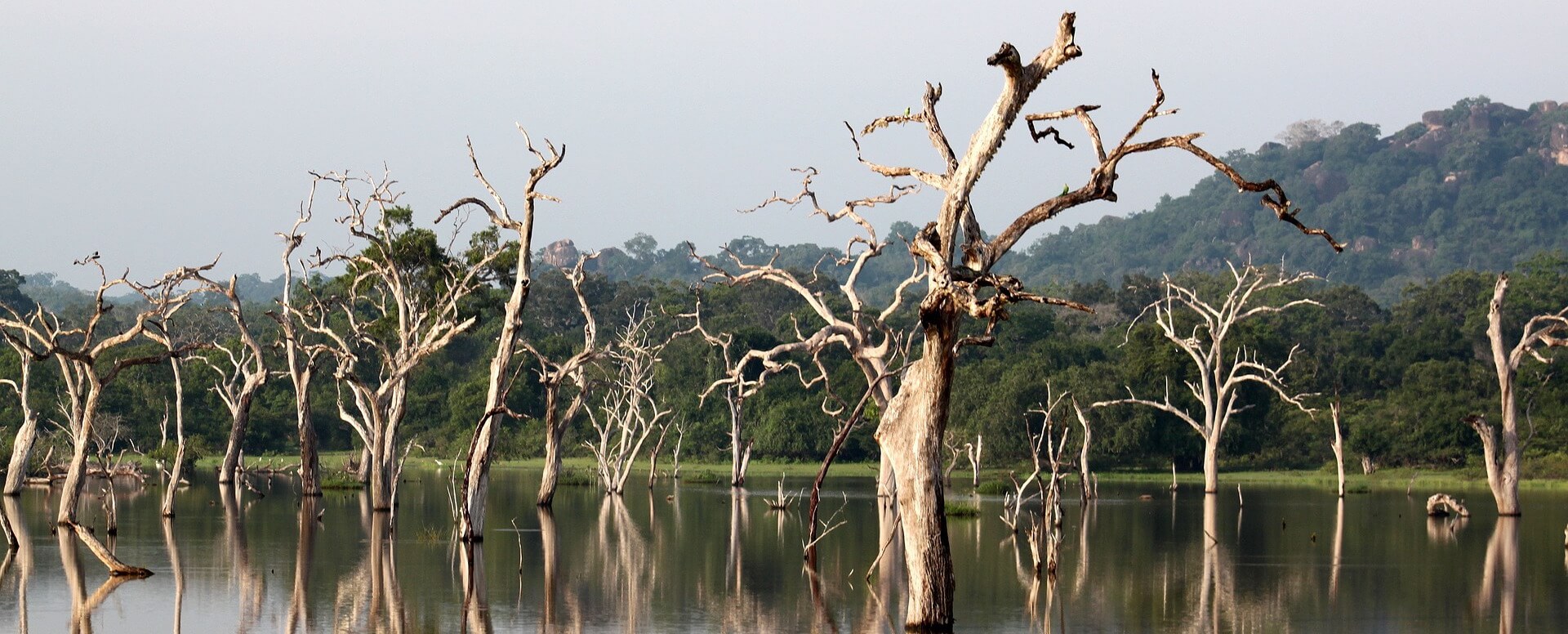 8. Taking advantage of national parks - Sri Lanka