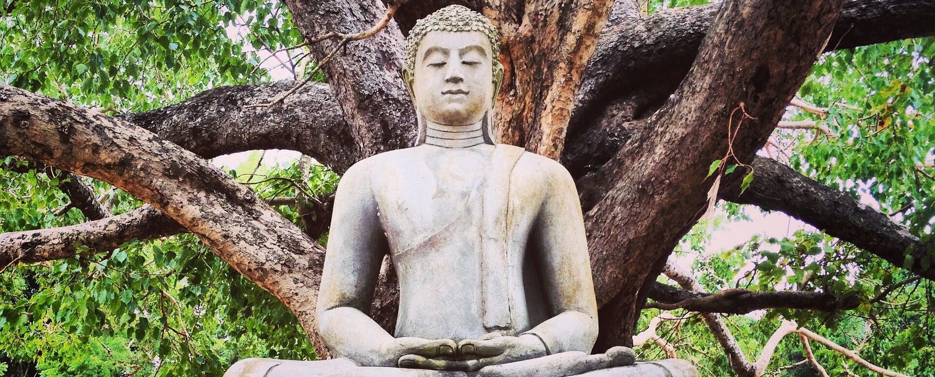 2. Discover Landy and the Temple of the Buddha's Tooth - Sri Lanka