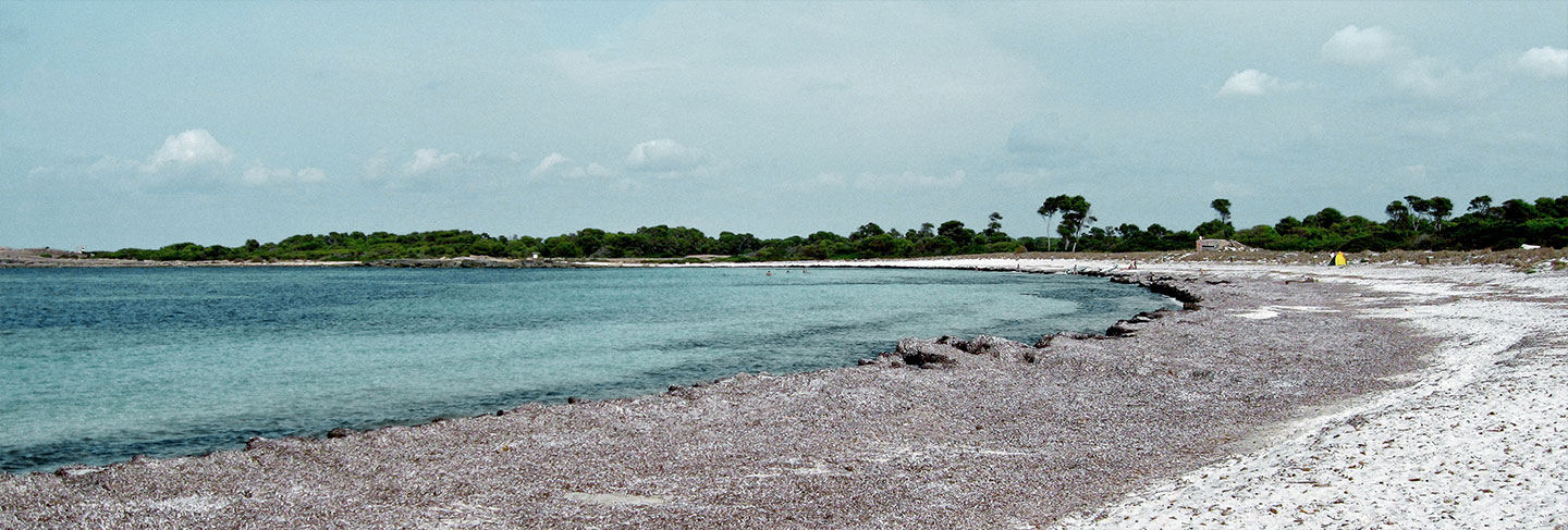 Where to rent a villa in the Balearic Islands - Ibiza