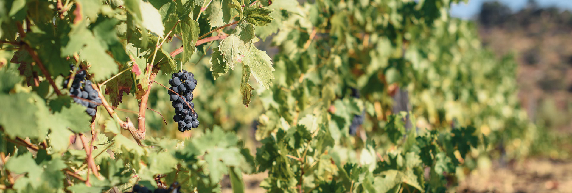 Not to Be Missed in Greece - Greece