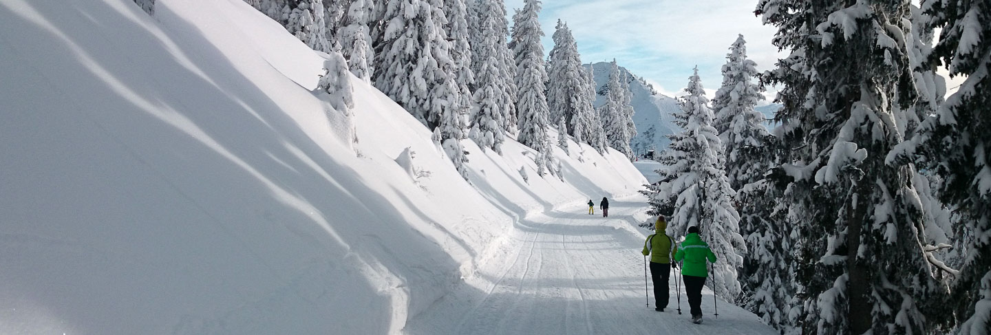 The 10 Best Ski Resorts in Austrian Tyrol - Austria