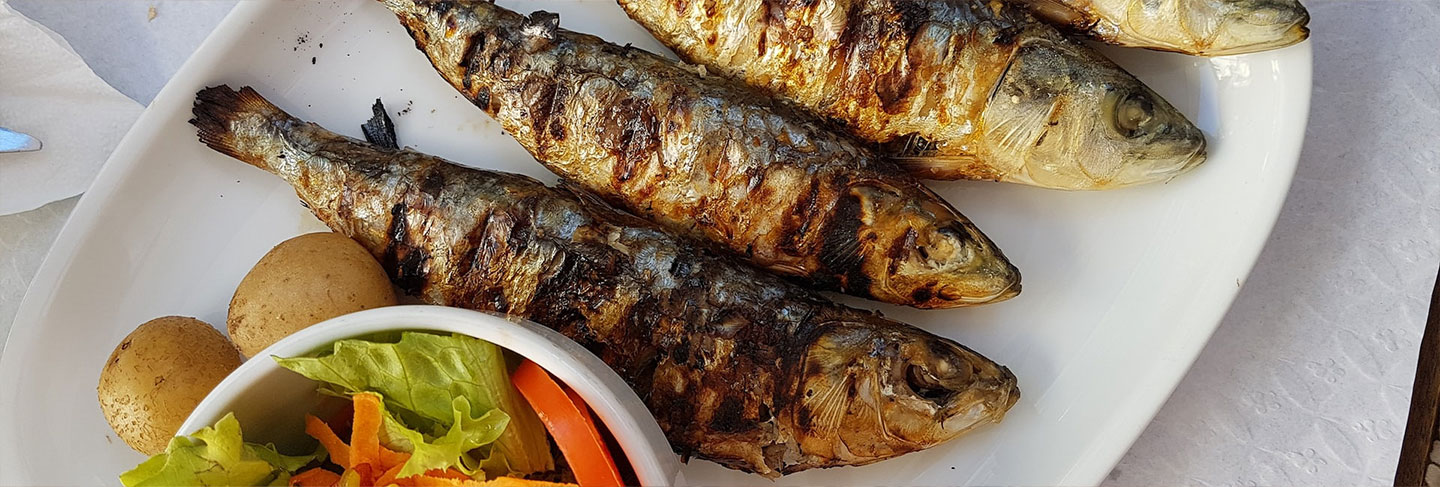 The Cuisine of Comporta - Comporta