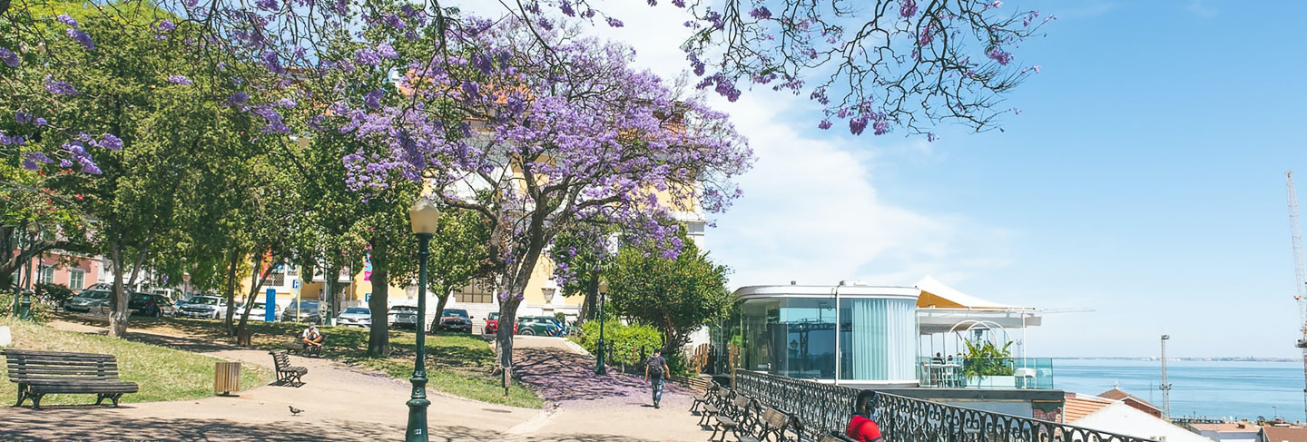 A Practical Guide to Porto and Northern Portugal - Northern Portugal